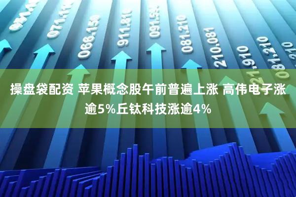 操盘袋配资 苹果概念股午前普遍上涨 高伟电子涨逾5%丘钛科技涨逾4%
